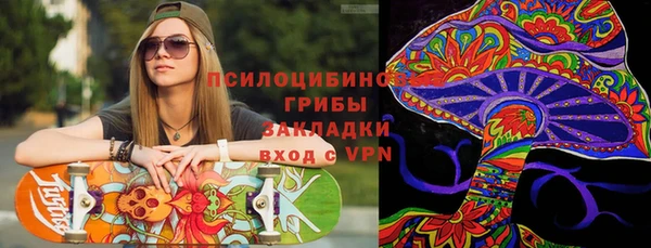 2c-b Осинники